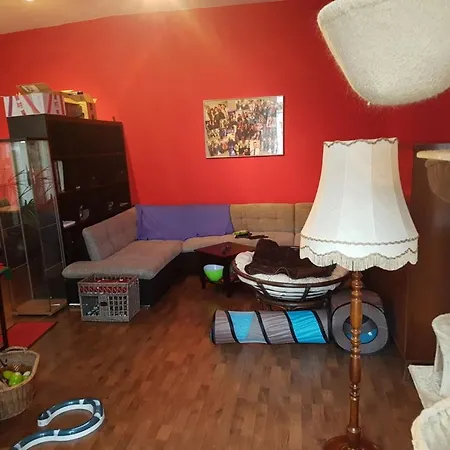 Schone Altbauwohnung, Nahe Hassel Gesucht / Balkon, Ebk, Keller, Aufzug